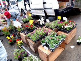 DSCF1174_R