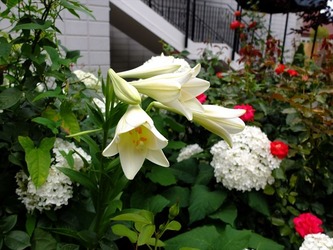 DSCF3495_R