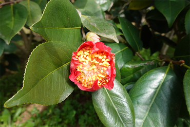 DSC06067_R