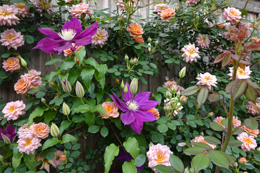 DSC07279_R