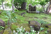 DSCF1795_R