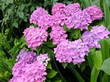 DSCF2201_R
