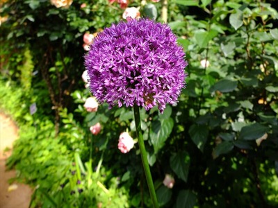 DSCF3626_R