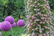 DSCF4314_R
