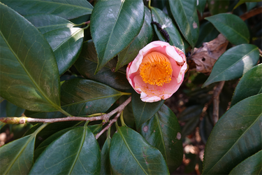 DSC05892_R