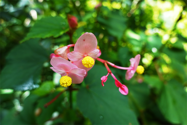 DSC09030_R