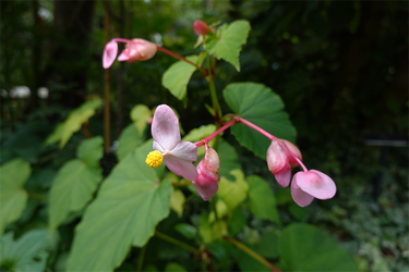 DSC08750_R