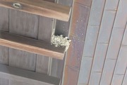 DSCF3027_R