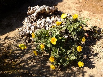DSCF8425_R