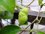 DSCF2667_R