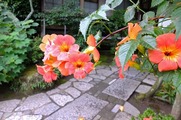 DSCF5882_R