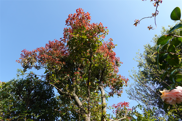 DSC06358_R