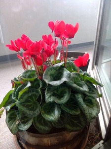 DSCF1708_R