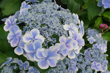 DSC08407_R