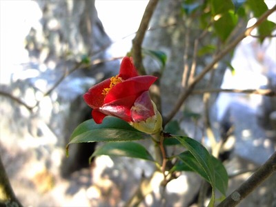 DSCF1042_R