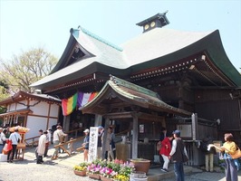 DSCF8205_R