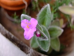 DSCF9718_R