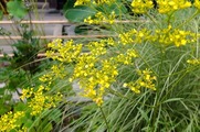 DSCF5112_R