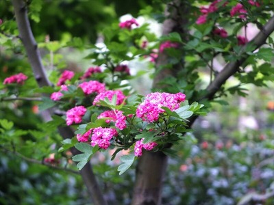 DSCF2473_R