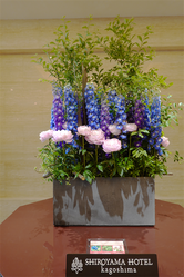DSC01699_R