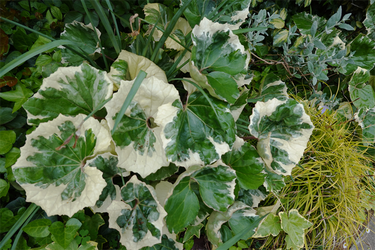 DSC06980_R