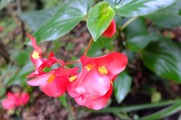 DSCF4264_R