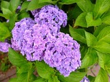 DSCF2130_R