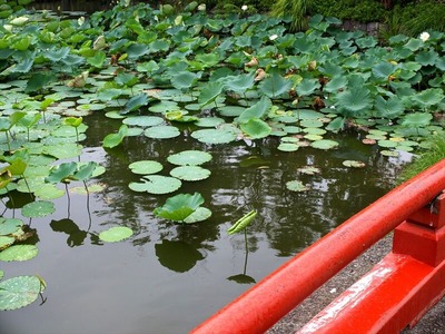 DSCF5330_R