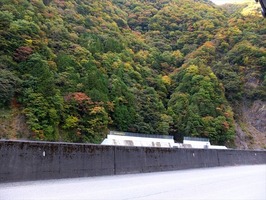 DSCF5353_R
