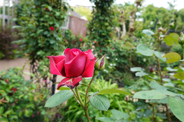 DSC06928_R