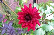 DSCF6076_R