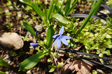 DSC00297_R