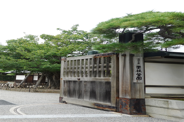 DSC09577 (1)_R