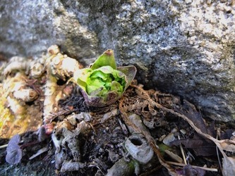 DSCF8355_R