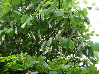 DSCF9952_R
