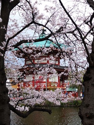 DSCF8116_R