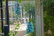 DSCF2681_R