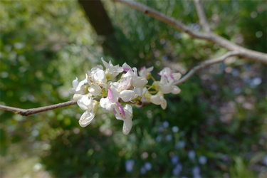 DSC06611_R