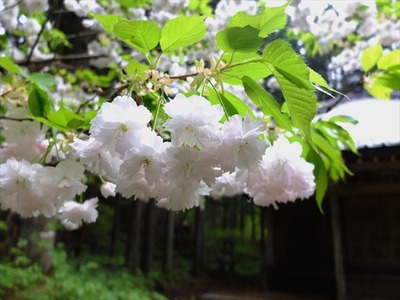 DSCF9364_R