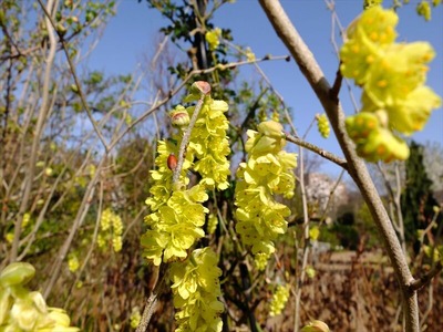 DSCF4876_R