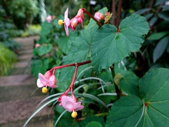DSC01206_R