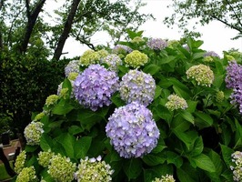 DSCF8687_R
