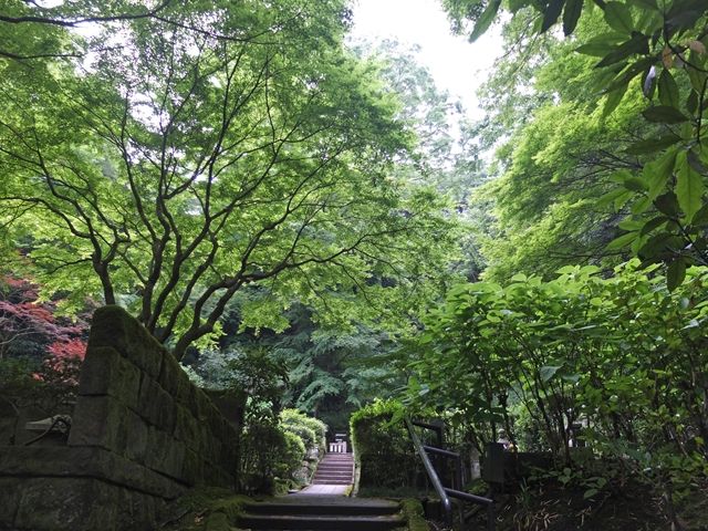 藍川京 の部屋 北鎌倉 東慶寺 金仏や紫陽花 姫沙羅と沙羅 夏椿 Livedoor Blog ブログ