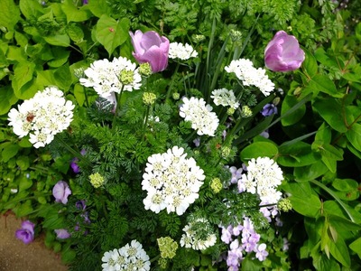 DSCF2237_R