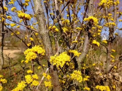 DSCF4561_R