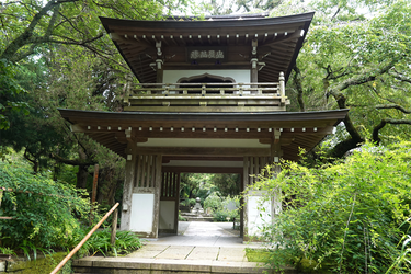 DSC08671_R
