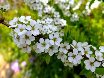 DSCF7859_R
