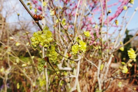 DSC04354_R