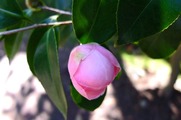 DSCF2025_R