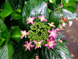 DSCF0155_R